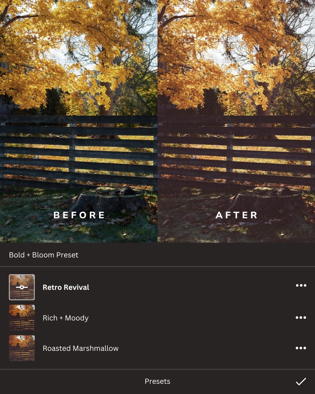 Folk Lightroom Presets Collection