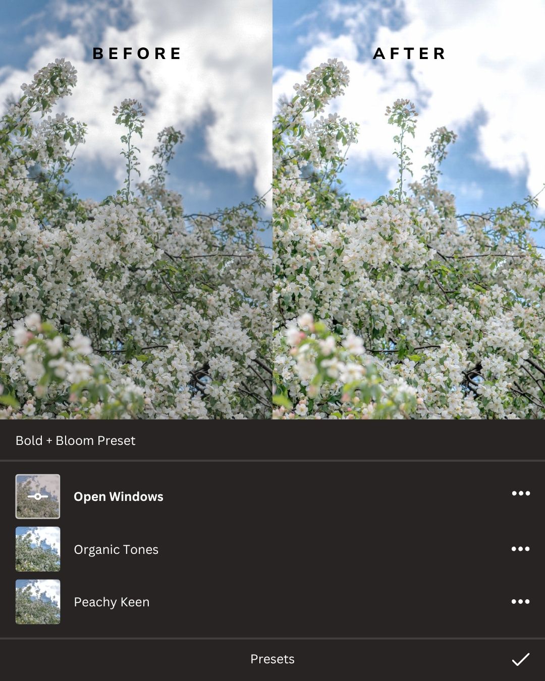 Hello Spring Lightroom Presets Collection