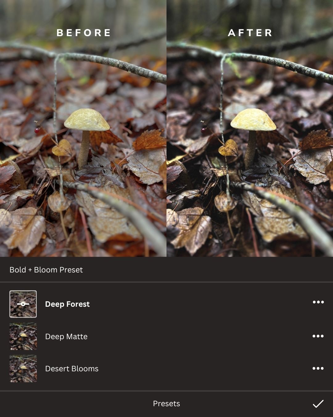 Rustic Woodlands Lightroom Presets Collection
