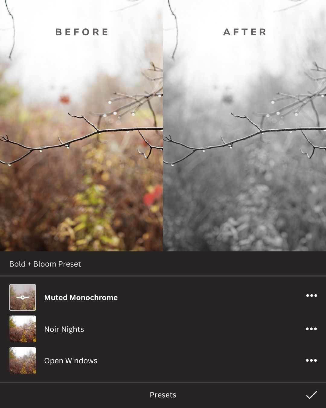 Black + White Lightroom Presets Collection