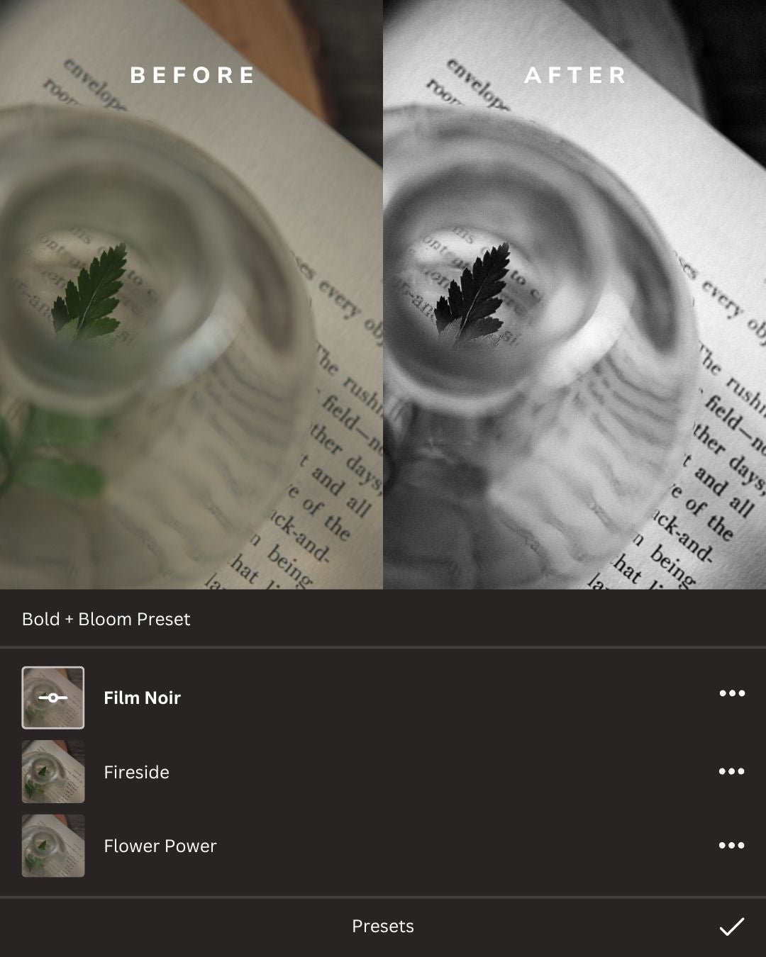 Black + White Lightroom Presets Collection