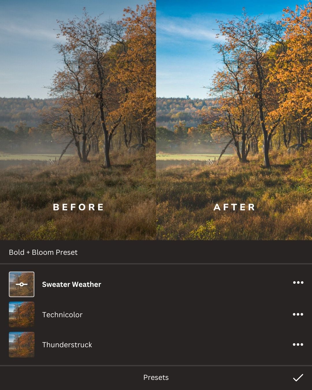Cozy Autumn Lightroom Presets Collection