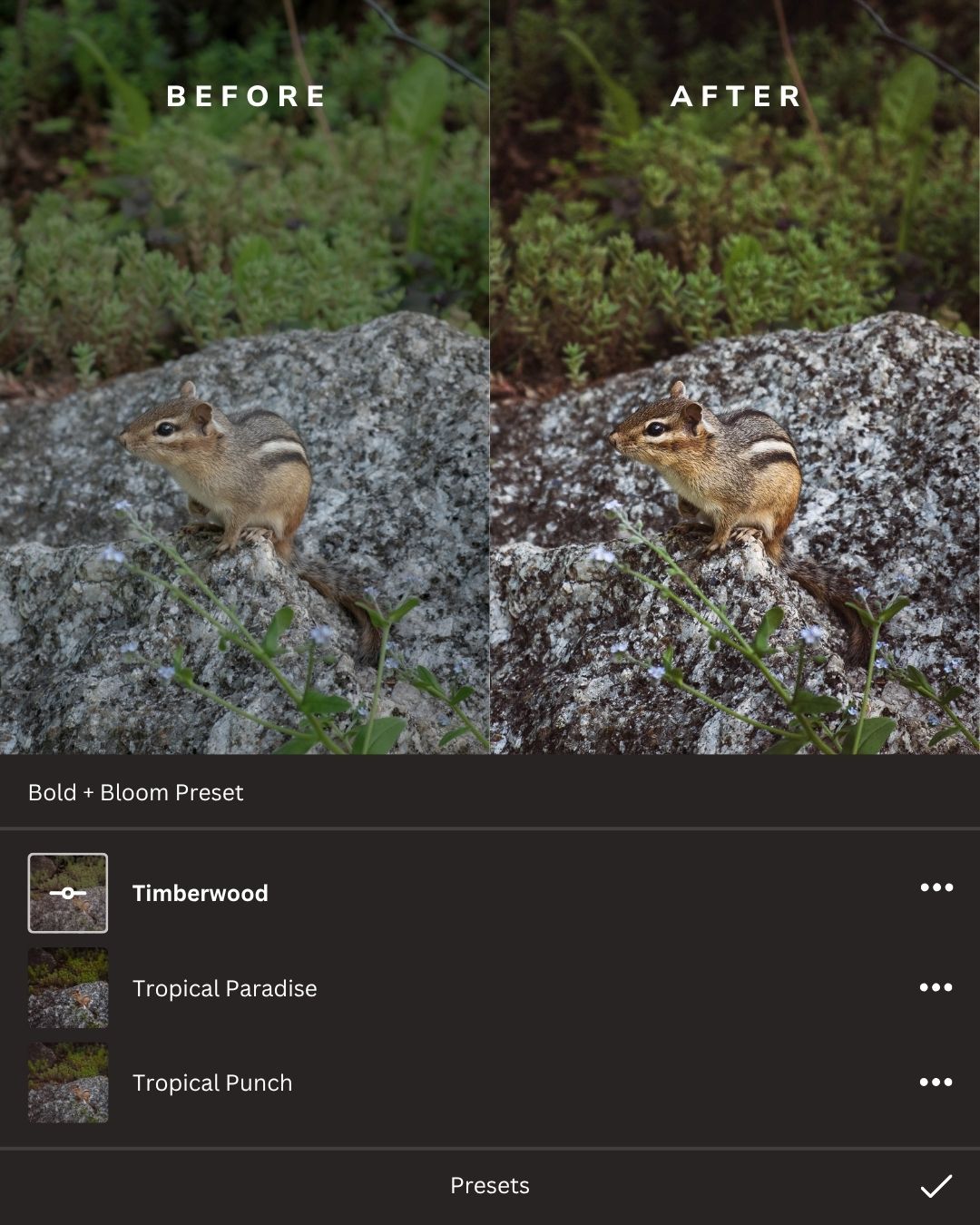 Rustic Woodlands Lightroom Presets Collection