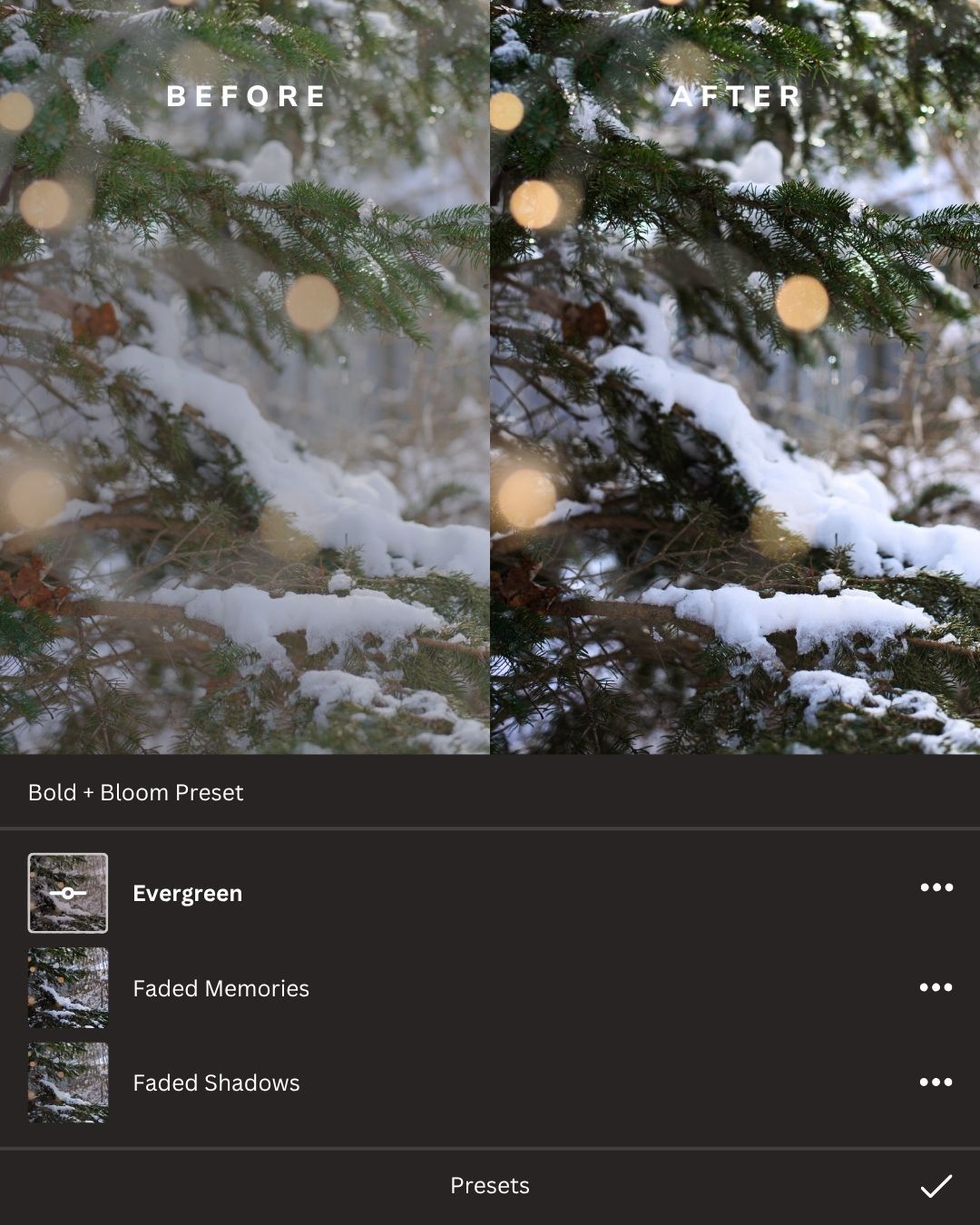 Winter Wonderland Lightroom Presets Collection