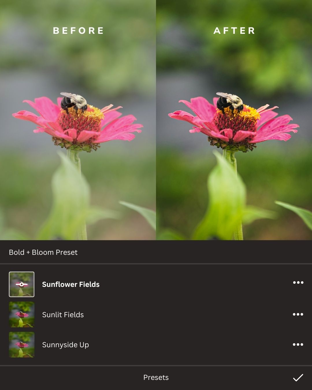 Sun-Kissed Summer Lightroom Presets Collection
