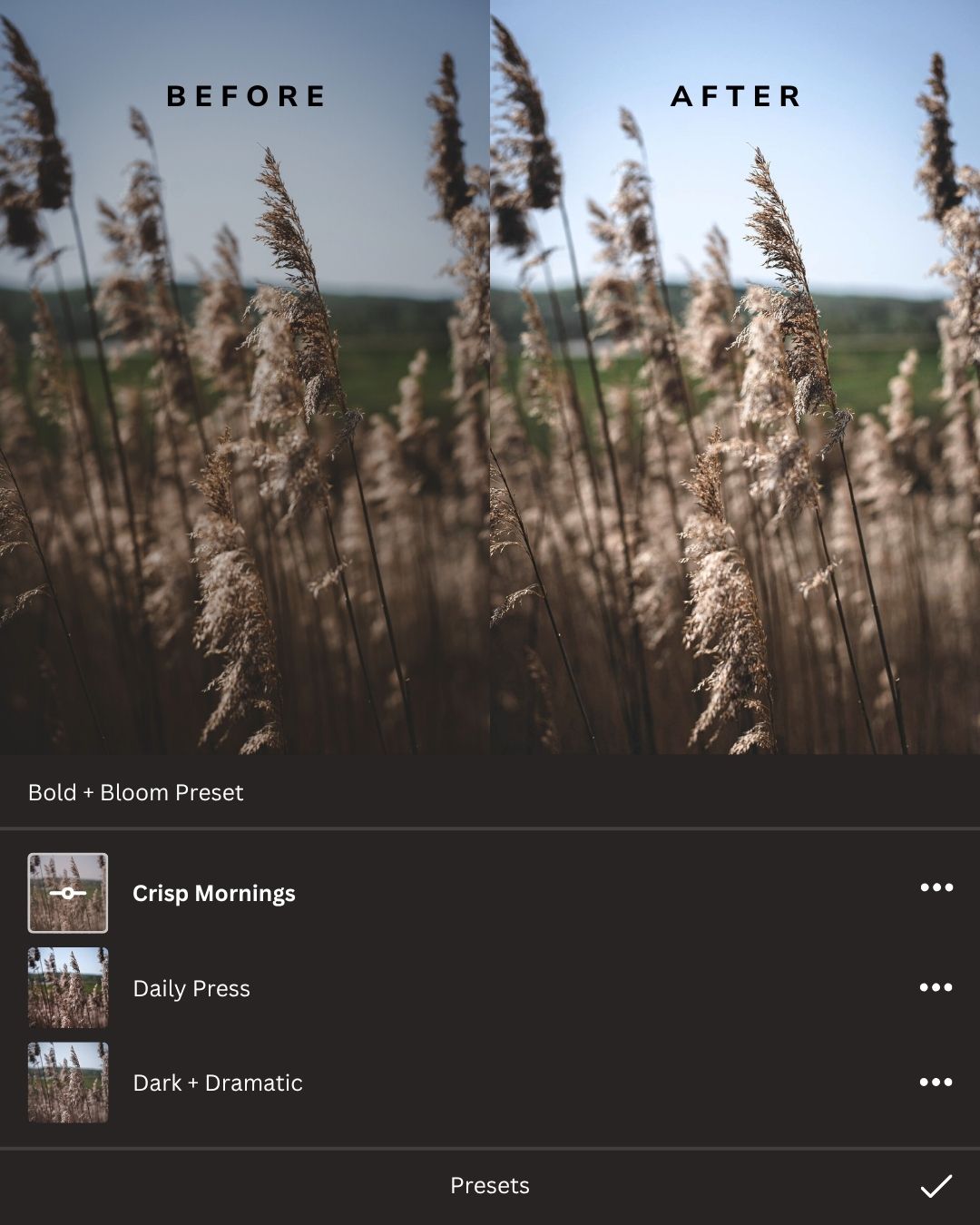 Earthy Lightroom Presets Collection