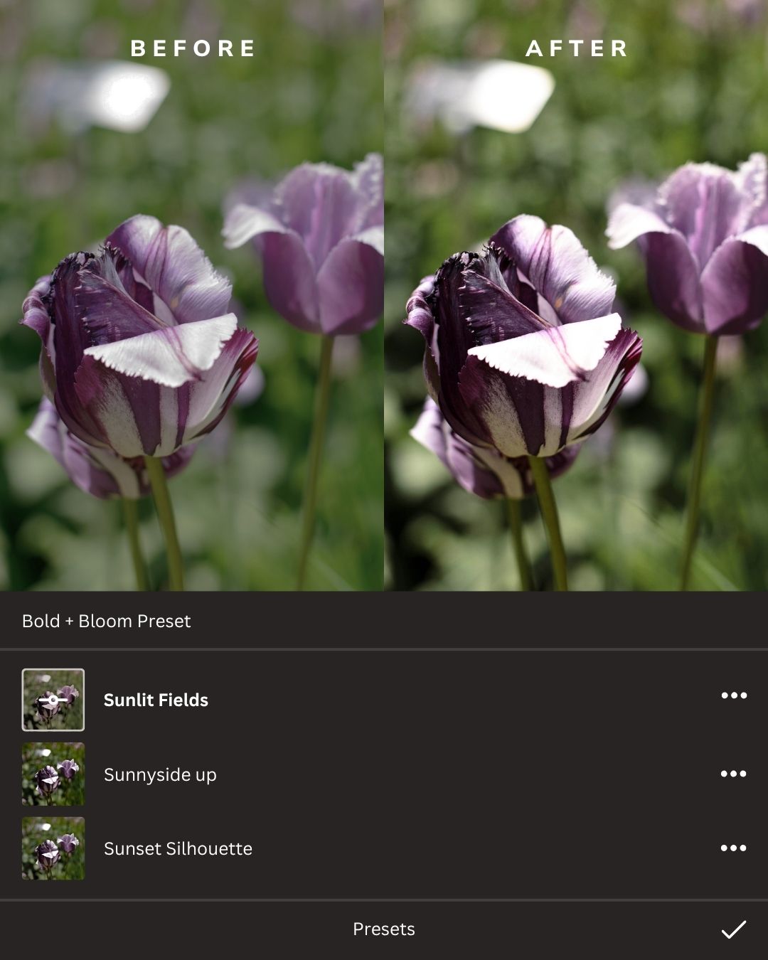Hello Spring Lightroom Presets Collection