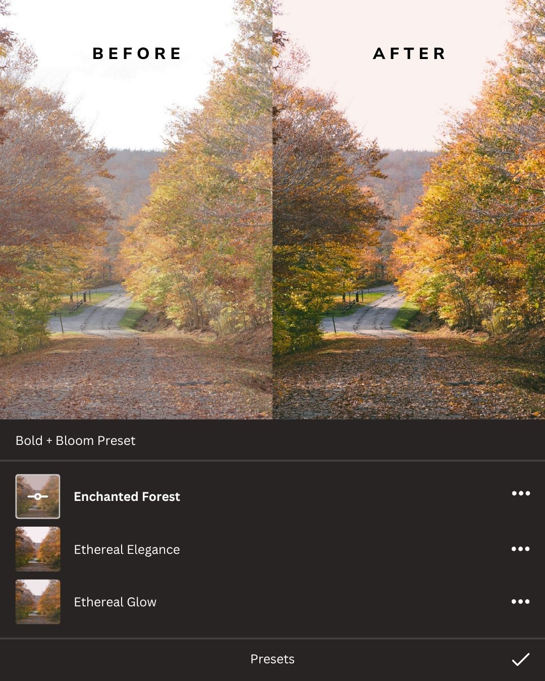 Earthy Lightroom Presets Collection