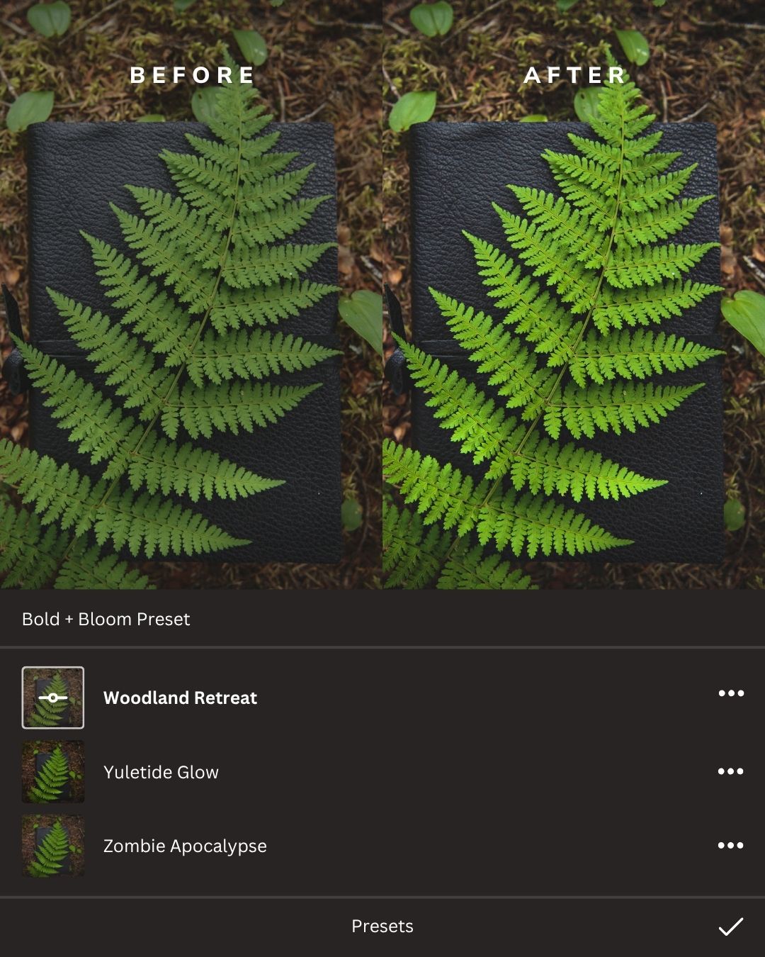 Rustic Woodlands Lightroom Presets Collection