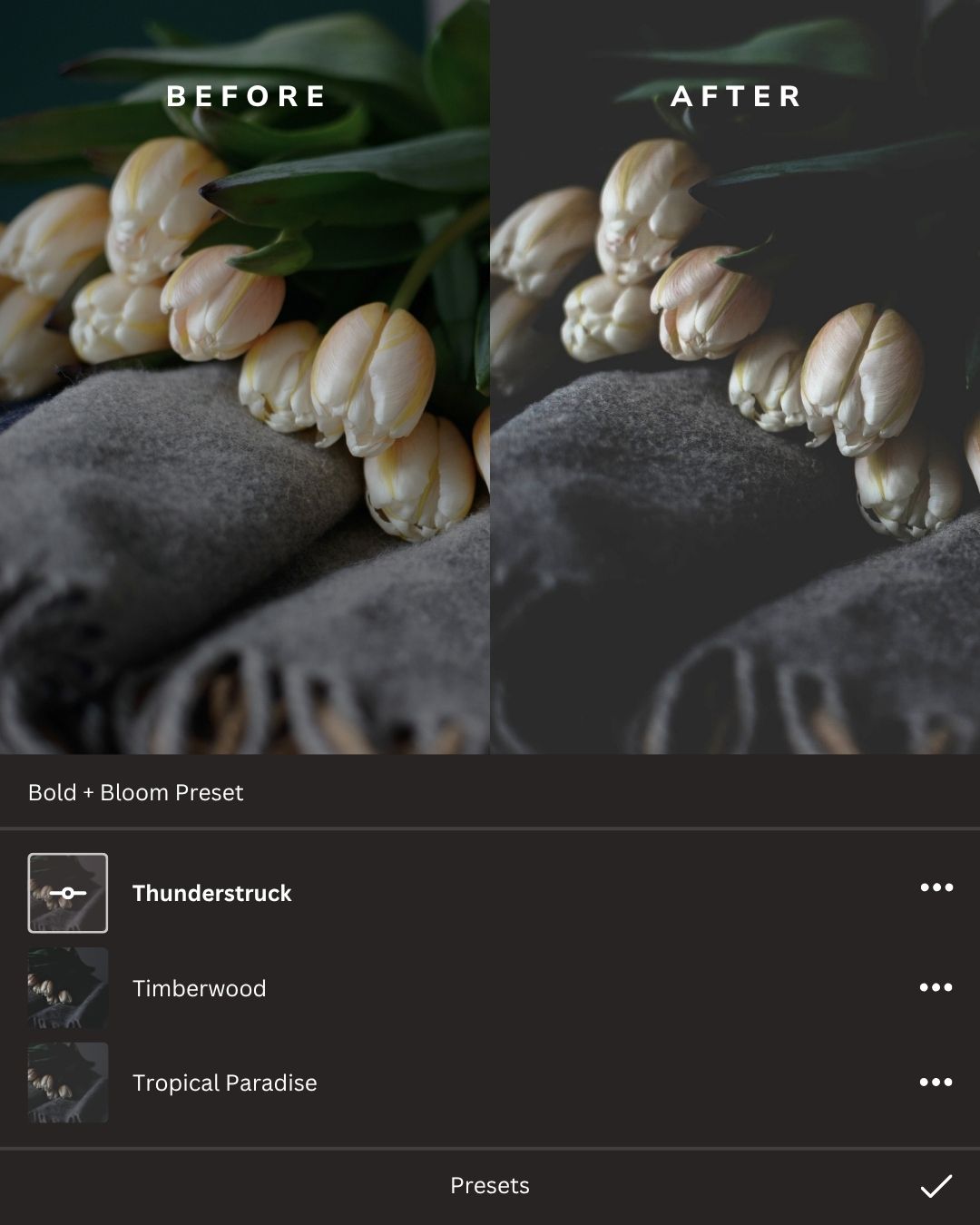 Dark + Moody Lightroom Presets Collection