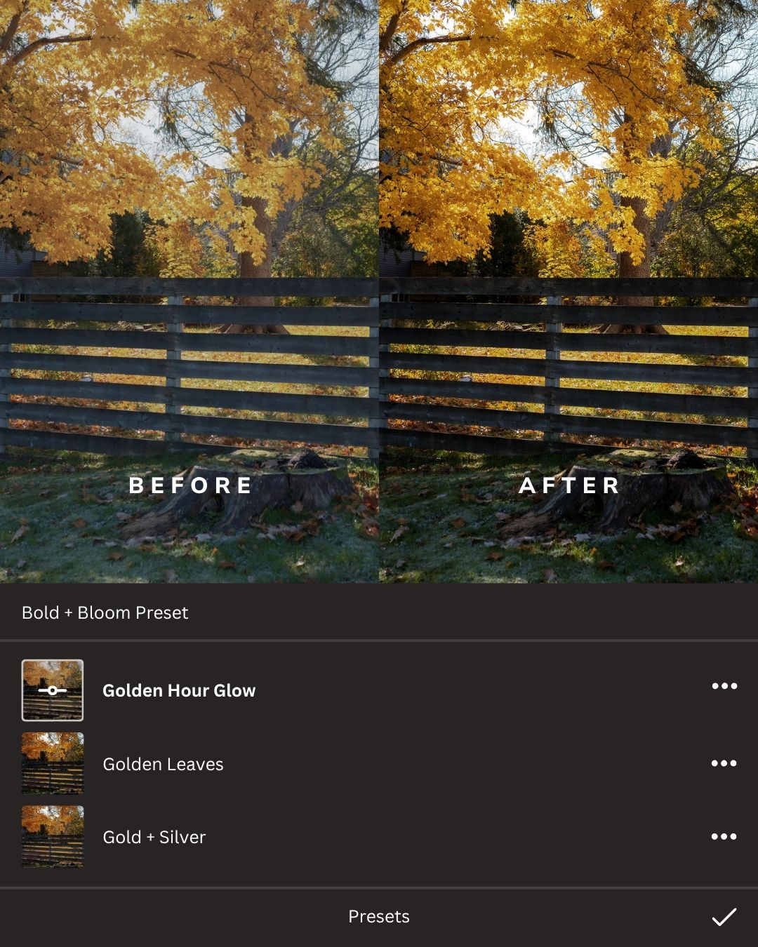 Natural Light Magic Lightroom Presets Collection
