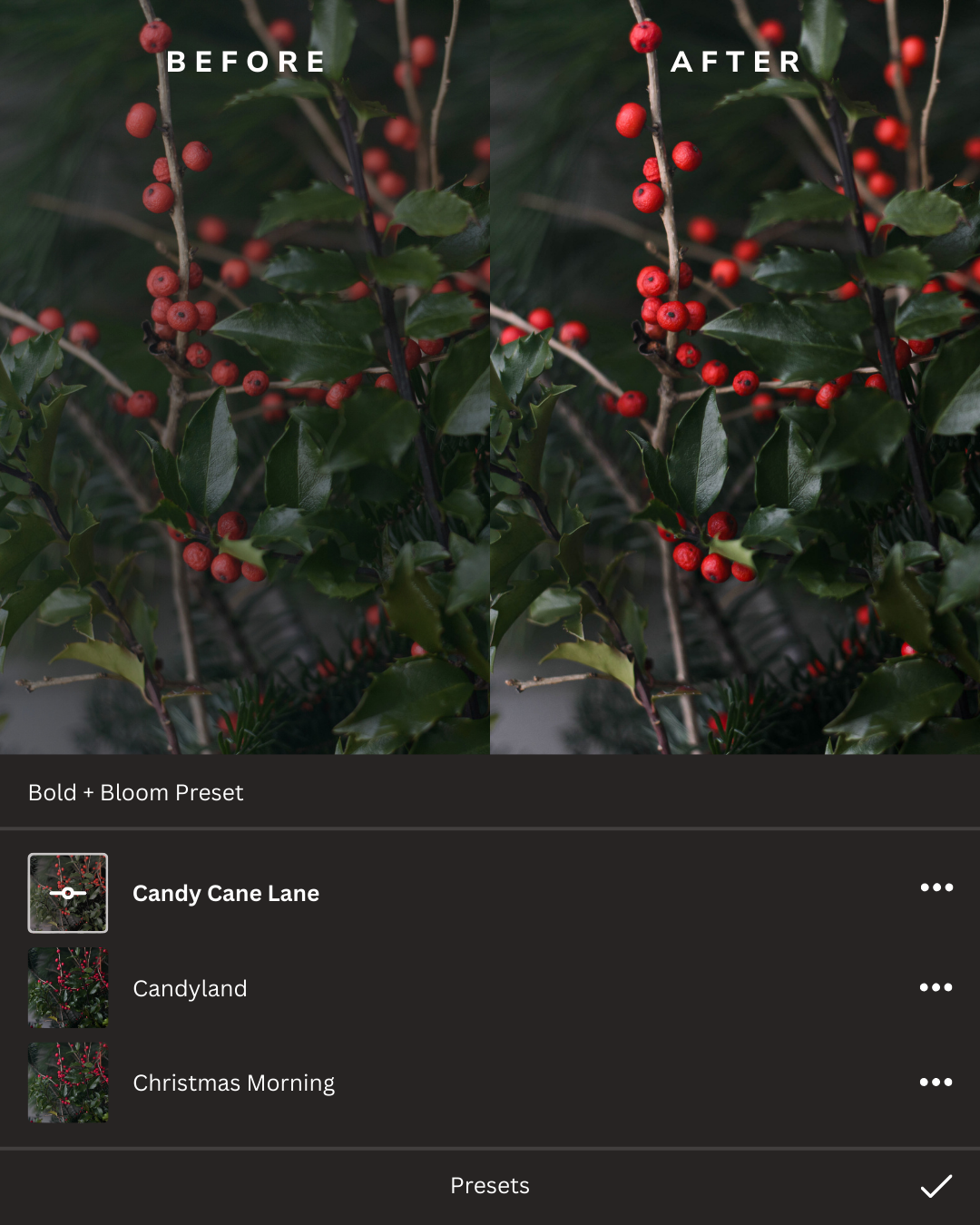 Merry + Bright Lightroom Presets Collection
