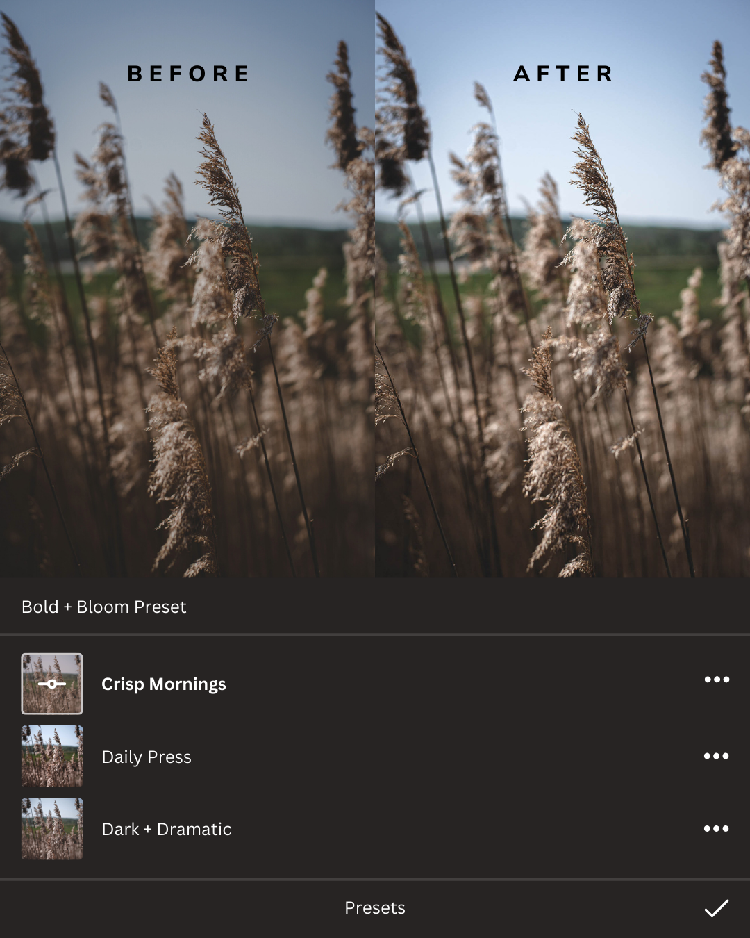 Earthy Lightroom Presets Collection