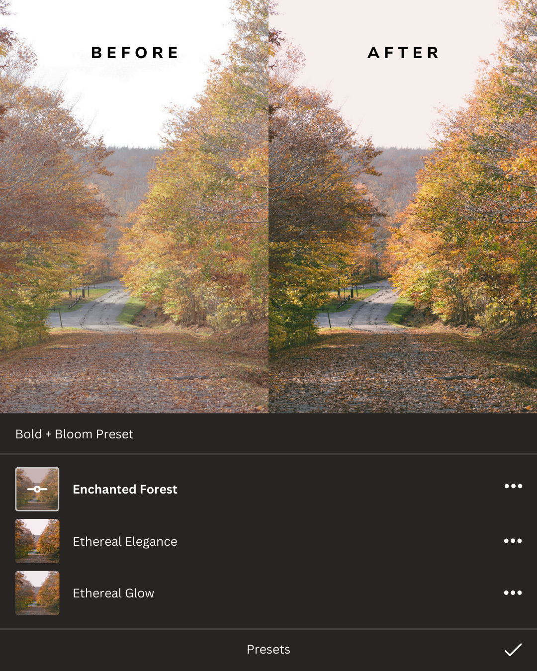 Earthy Lightroom Presets Collection