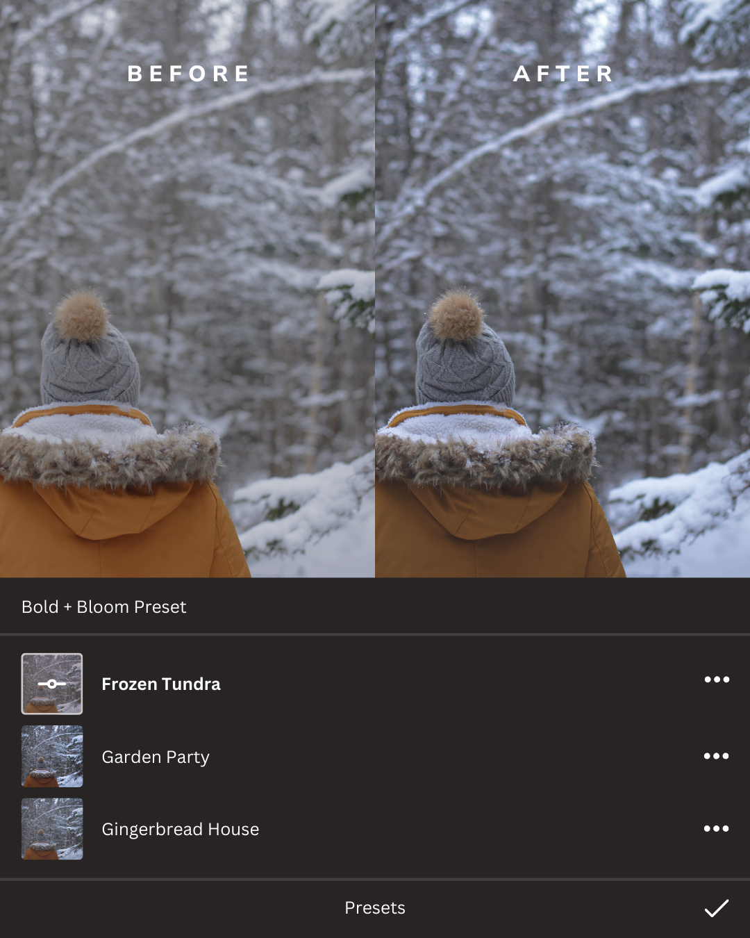 Winter Wonderland Lightroom Presets Collection