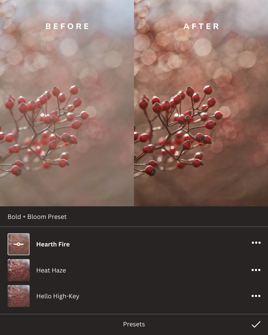 Winter Wonderland Lightroom Presets Collection