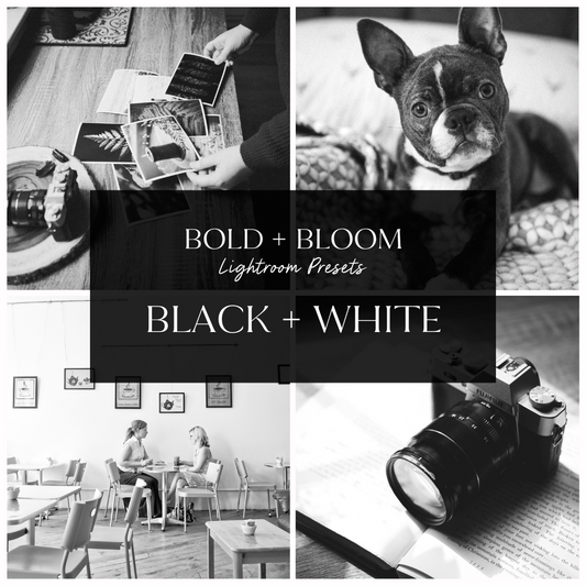 Black + White Lightroom Presets Collection