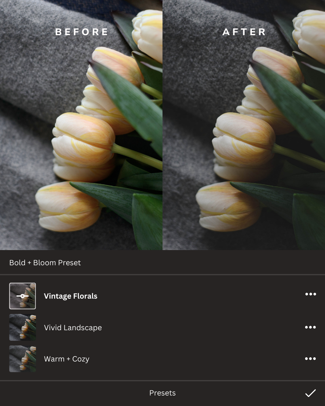 Botanicals Lightroom Presets Collection